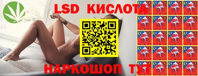 индика Пугачёв
