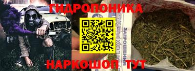 индика Пугачёв